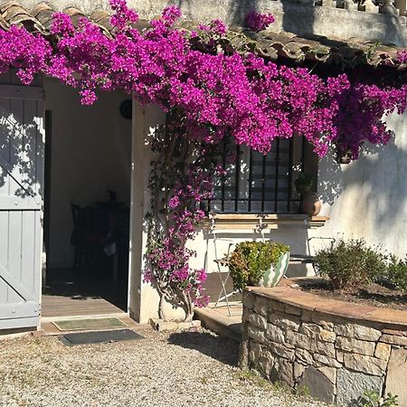 Les Palmiers Διαμέρισμα Fréjus Εξωτερικό φωτογραφία